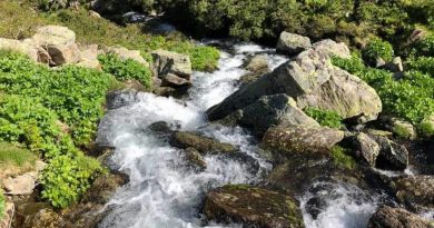 Andorre ... j’adore .... une nature si pure , naturelle, apaisante ou il est bon de s’y promener pour se ressourcer.