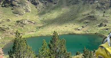 Setup Andorra est le spécialiste de l’expatriation fiscale et de l’immigration en Andorre. SETUP ANDORRA est à même d’analyser les meilleures opportunités pour le choix de votre résidence en Andorre.