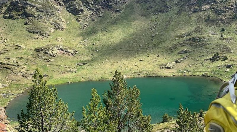 Setup Andorra est le spécialiste de l’expatriation fiscale et de l’immigration en Andorre. SETUP ANDORRA est à même d’analyser les meilleures opportunités pour le choix de votre résidence en Andorre.
