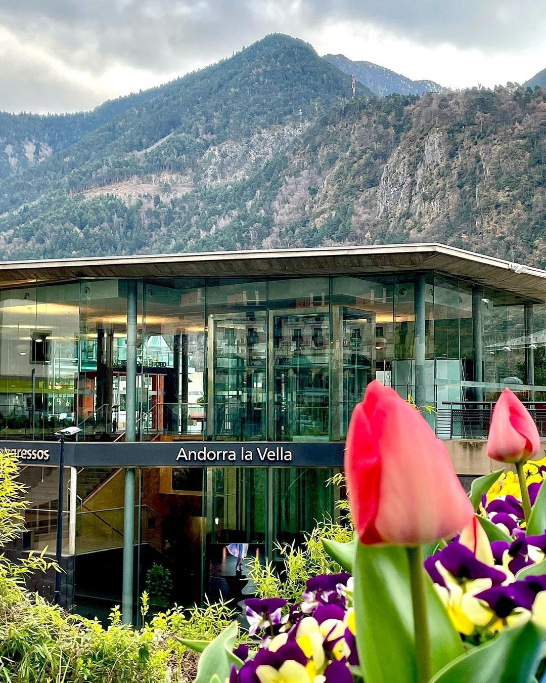 MIEUX FISCAL INVESTISSEMENT EN ANDORRE. https://www.mieuxfiscal.fr/ Andorre propose des avantages multiples et permet aux entreprises et aux personnes physiques de se libérer de la pression fiscale considérable exercée par l’administration fiscale. Nos solutions: Optimisation fiscale | Création société en Andorre | Les bénéfices d'un investissement en Andorre | L'Andorre est un pays proposant de multiples bénéfices pour les investisseurs avides de saisir de nouvelles opportunités. Les avantages économiques, financiers et fiscaux, et une qualité de vie parmi les plus enviées du monde, font de ce pays des Pyrénées une destination de choix pour investir. L'Andorre est l'un des pays les plus attrayants pour les investisseurs. Créer une société ou acheter des actions est peut-être votre meilleure option. Vous pouvez commencer par devenir résident fiscal en Andorre. Il n'existe pas d'impôt sur la succession en Andorre ni d'impôt sur la fortune. https://www.mieuxfiscal.fr/nous-contacter/ La principauté d'Andorre permet aux investisseurs de bénéficier de conditions optimales en comparaison d'autres marchés et pays voisins. Mieuxfiscal Andorre est spécialisée dans l’optimisation et l’expatriation fiscale en Andorre, afin de redonner de l’oxygène aux entreprises et aux particuliers. La Principauté d’Andorre : un pays coopérant à faible fiscalité, 10 %. Créer son entreprise en Andorre. Devenir résident andorran. La Principauté d’Andorre: un pays coopérant à faible fiscalité. Malgré les idées reçues, Andorre n’est pas un paradis fiscal, mais un pays coopérant à faible fiscalité. En 2015, la France et l’Andorre signent une convention de non double imposition. Andorre respecte par ailleurs l’échange d’information sur des données fiscales des non-résidents ainsi que la déclaration des bénéficiaires effectifs : Andorre et ses agents économiques sont en conformité avec l’ensemble des directives internationales. Rendez-vous en ligne · Services sur place. Adresse: Carrer Pau Casals, 8. Ed. Cornella 2, 2º, 1 ª, AD500 Andorra la Vella, Andorre. Téléphone : +376887777. https://www.mieuxfiscal.fr/ OUR SERVICES Pre-Arrival Support Help Assessment Questionnaire, Location Information Overview, Budget Planning Physical Moving Assistance. Housing Helping to find you a new home – an overview of the housing market, location analysis, accommodation search, coordination of visits, rental & other costs, rental agreement negotiations, legal contract assistance. We only work with experienced residential real estate agents who share in our philosophy that aim is to get “value for money” for the client and that any landlord is reputable and responsive to the needs of the client. Home Interior Depending on your housing requirement and budget, there may be need for arranging decorating and design (look and feel) of the interior elements of your home, which may also include the sourcing of furniture / equipment. School Assistance Information about the schooling system in the Andorra  Republic i.e. both the local and international curriculum. We arrange meetings with the relevant school enrolment officers so you and your child can visit and experience first hand the educational facilities and ask questions relating to their teaching methods, after schools activities etc. Additionally, we will assist you in gathering and submitting any requested academic records (including translating the documents), and support you with the school registration process. Medical / Doctors We will provide you a list of the key medical facilities and related costs (if applicable) in the city and help you to select a medical facility that best meets your needs. We are happy to accompany you to visit the doctor facilities prior to you making any decision. Immigration Assistance The residency application and registration process in the Andorra  Republic, depending on your nationality, is clearly defined however it is known to be a slightly complicated process as there is a need to provide different kinds of supporting documents as part of your residency application. We can guide you through this process ensuring your registration is submitted properly and follow-up to ensure you obtain the necessary residency status. Your Loving Pets Often overlooked by relocation companies, but pets most often form an integral part of a family structure and their needs also need to be catered for. Therefore, ensuring you have the proper legal ownership and medical certificates is important. Then of course knowing which pet grooming, pet sitting and veterinarian experts also is essential so that your pet enjoys its time too in the Andorra  Republic. Settling in Package Arranging for items such as utility registration – electricity, gas, water, internet, phone, international satellite TV providers and assistance with public authority registrations e.g. Andorra  health insurance cards, andorra driver’s license, purchasing / hiring a vehicle, setting up a new bank account, home insurance etc. City Orientation Tour How the local public transport system works and related costs (travel card etc), helping you to get to know your immediate neighbourhood or other parts of the city e.g. shops and services, museums, galleries, restaurants, cafes, sports clubs / facilities, hobbies & interests, theatres, exhibitions, concerts etc. Daily Concierge Even once you are settled in into your new accommodation, your children (if any) have started their new school and you are now slowly starting to get to know your way around the city, we can assist you with other items such as regular house cleaning, provide contacts for pre-qualified baby-sitters, /nannies, handymen or repairmen, book tickets for many of the culture events in Andorra  Republic, places of interest worth visiting or even simply arrange for a private driver to collect or take you to the airport or train station. Business Assistance In case you wish to set up your own business while living here, we will assist you with establishing either a self-employed/sole trader licence (and explaining the accompanying legal & tax requirements) or in case you prefer a company structure, then we can assist you with the registration process. Equally, on the latter option, we can also recommend a reputable company formation specialist who provides “off the shelf” ready-made legal entities that already have the requisite registration process completed. Daily Life Assistance Once settled and living here you may find yourself facing a situation where you might benefit from further help and support, e.g. Andorra  language lessons, planning a wedding / get married or even seeking to start a family (pregnancy) and therefore need legal and doctors advice. Alternatively, you may feel that the Andorra  Republic is a place to make a mid to long-term property investment and therefore need some information on property costs and returns. These are all matters we have experience with and can support you in. Departure Assistance Even though you will have probably really enjoyed living in this wonderful country, there may come a time when you are required for work or simply for other personal reasons to move on to pastures new. There will, of course, be some connected “house-keeping” matters to attend to do before (or even after) departing that if not addressed can turn into annoying little problems following you on to your next location. Examples of such items are ensuring you have carried out the proper legal execution of any notice periods on you rental accommodation, reclaiming rental security deposits, de-registration of utilities, uncollected income tax monies, bank account closures etc. What we have described above are many of the typical items that are important as can arise once relocating to a new place. At Simply Relocation, we leave it to you to decide what level of assistance you need. We are flexible and can be involved in as little or as deeply as you feel comfortable with or feel is appropriate. We see our role as a support and advice service, and only if and when called upon by the client. Not only that, but we do not see it as our role to interfere with how you might wish to organize your private life while living in the Andorra  Republic. What we do assure you is complete confidentiality once you engage Simply Relocation to assist with any tasks that you feel you need support or guidance.